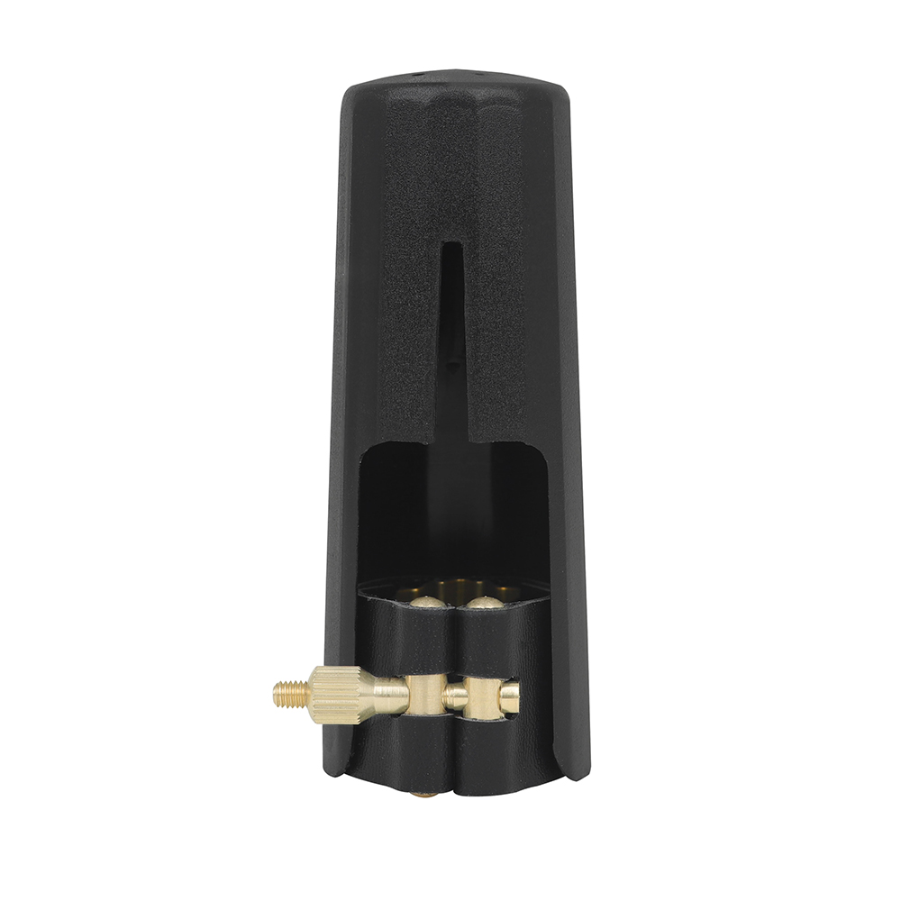 Professional Saxophone Clarine - огляд і ціна Musical Instrument Oboe