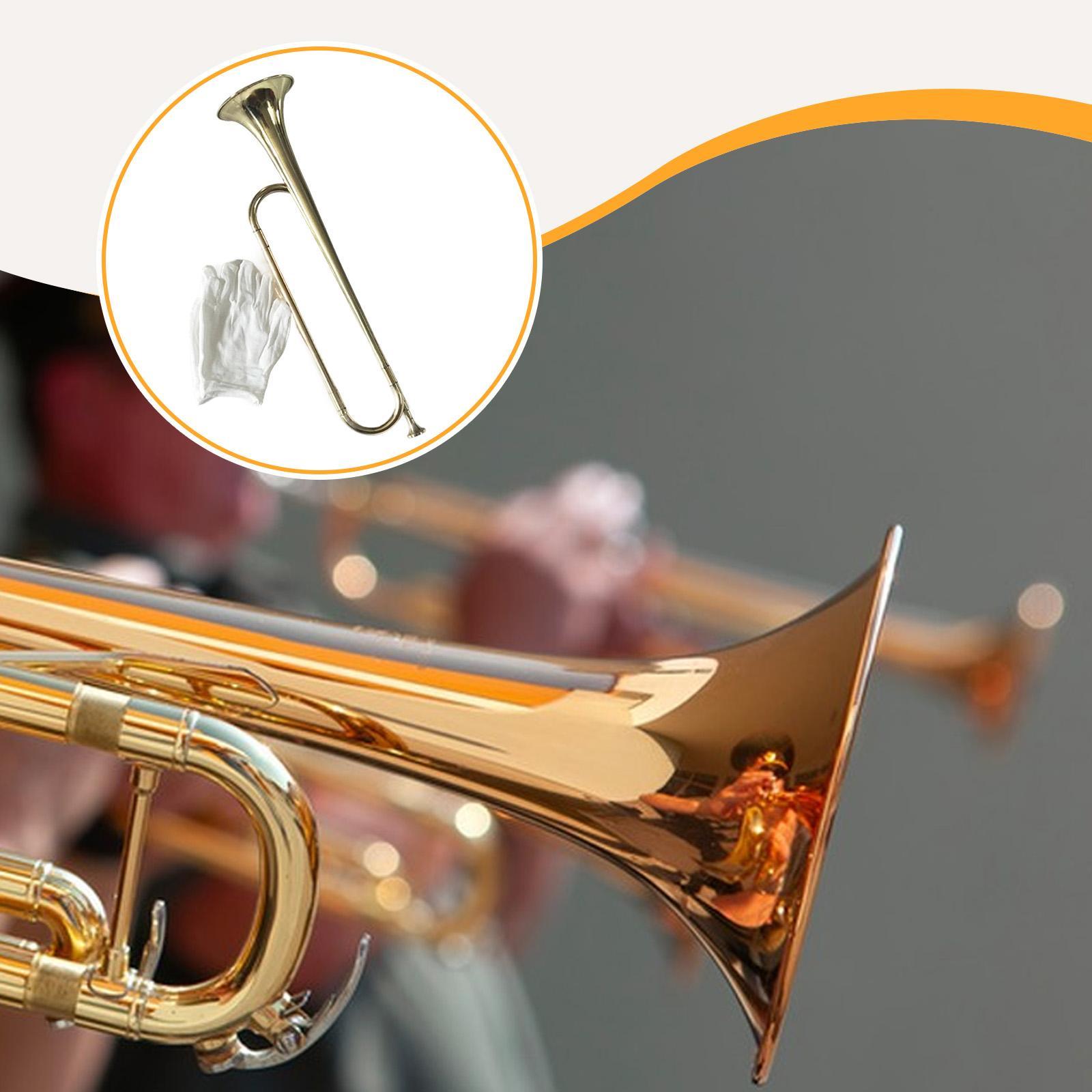 Bugle Musical Instrument Profe - огляд і ціна Musical Instrument Bugle