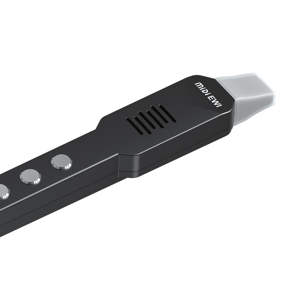 Small Transverse Flute Electro - огляд і ціна Musical Instrument Irish