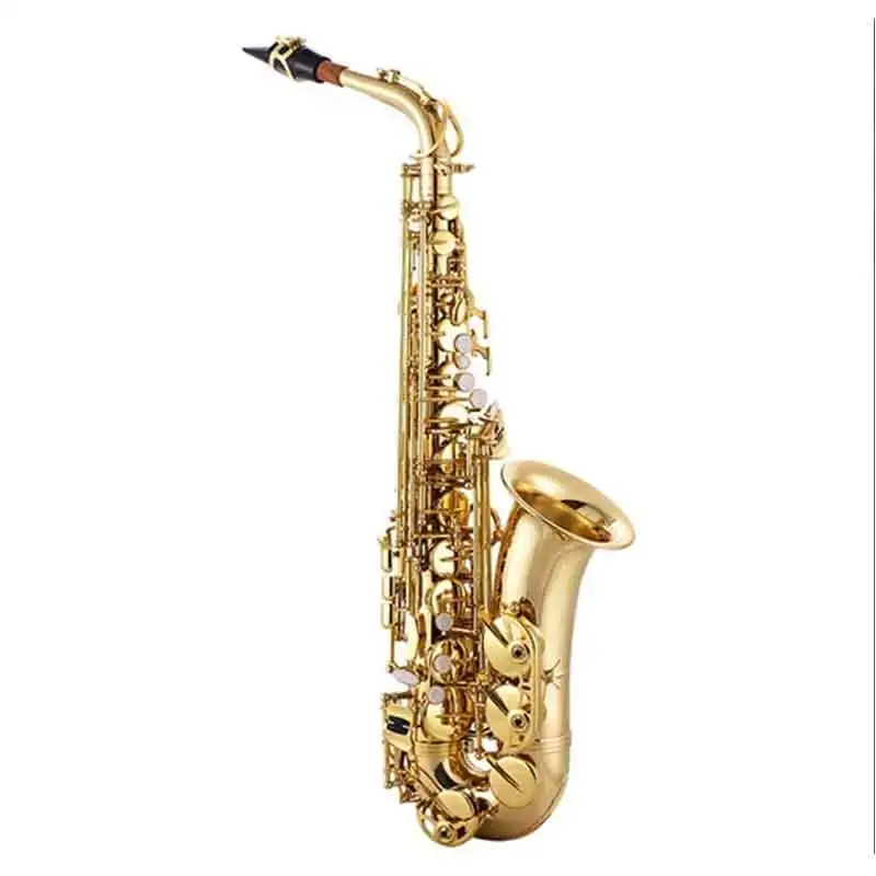 Red Colour Professional Alto S - огляд і ціна Musical Instrument Logo